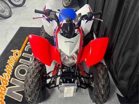 New 2025 Honda TRX250X, Sterling IL | Specs, Price, Photos