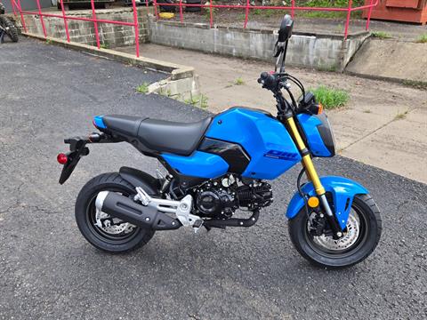 New 2026 Honda Grom, Chicora PA | Specs, Price, Photos | Candy