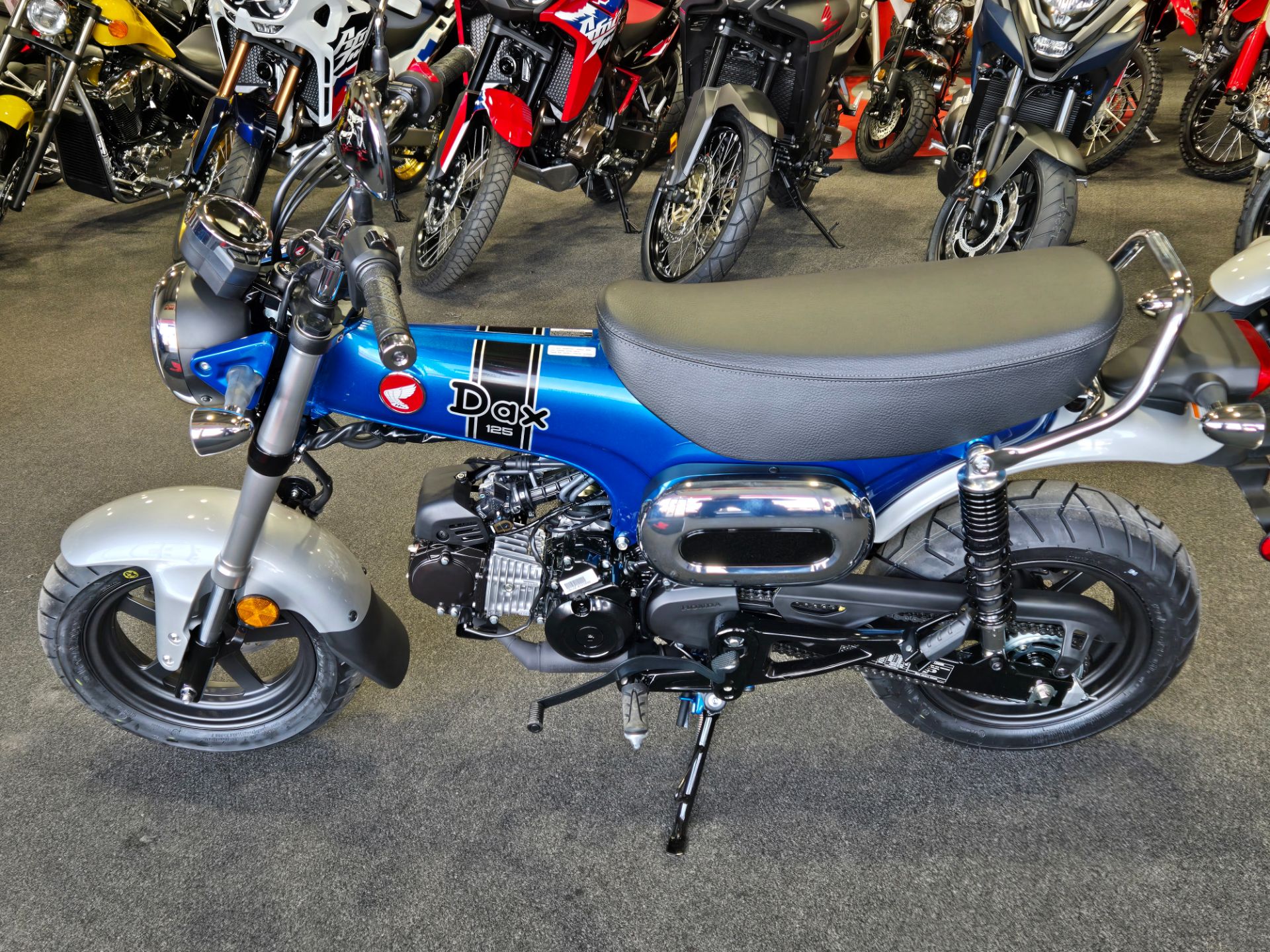 New 2025 Honda Dax 125, Chicora PA | Specs, Price, Photos | Pearl