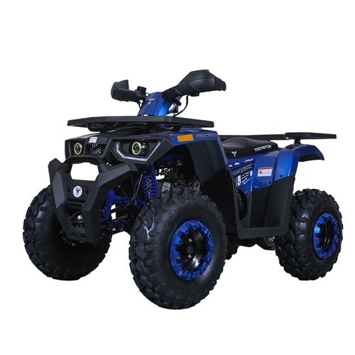 New 2021 Tao Motor SPORTXX ATVs in Howell, MI