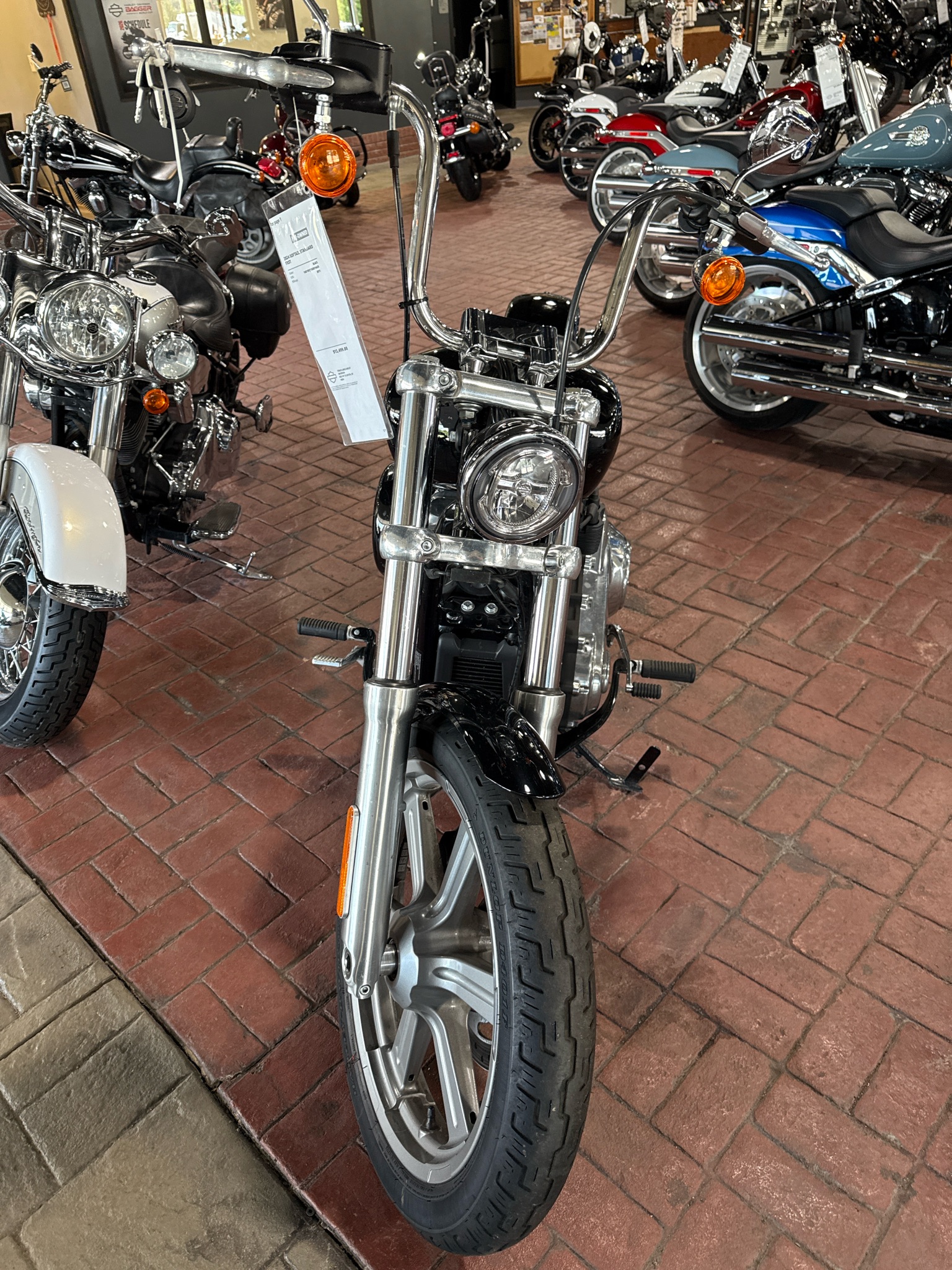 2024 Softail® Standard