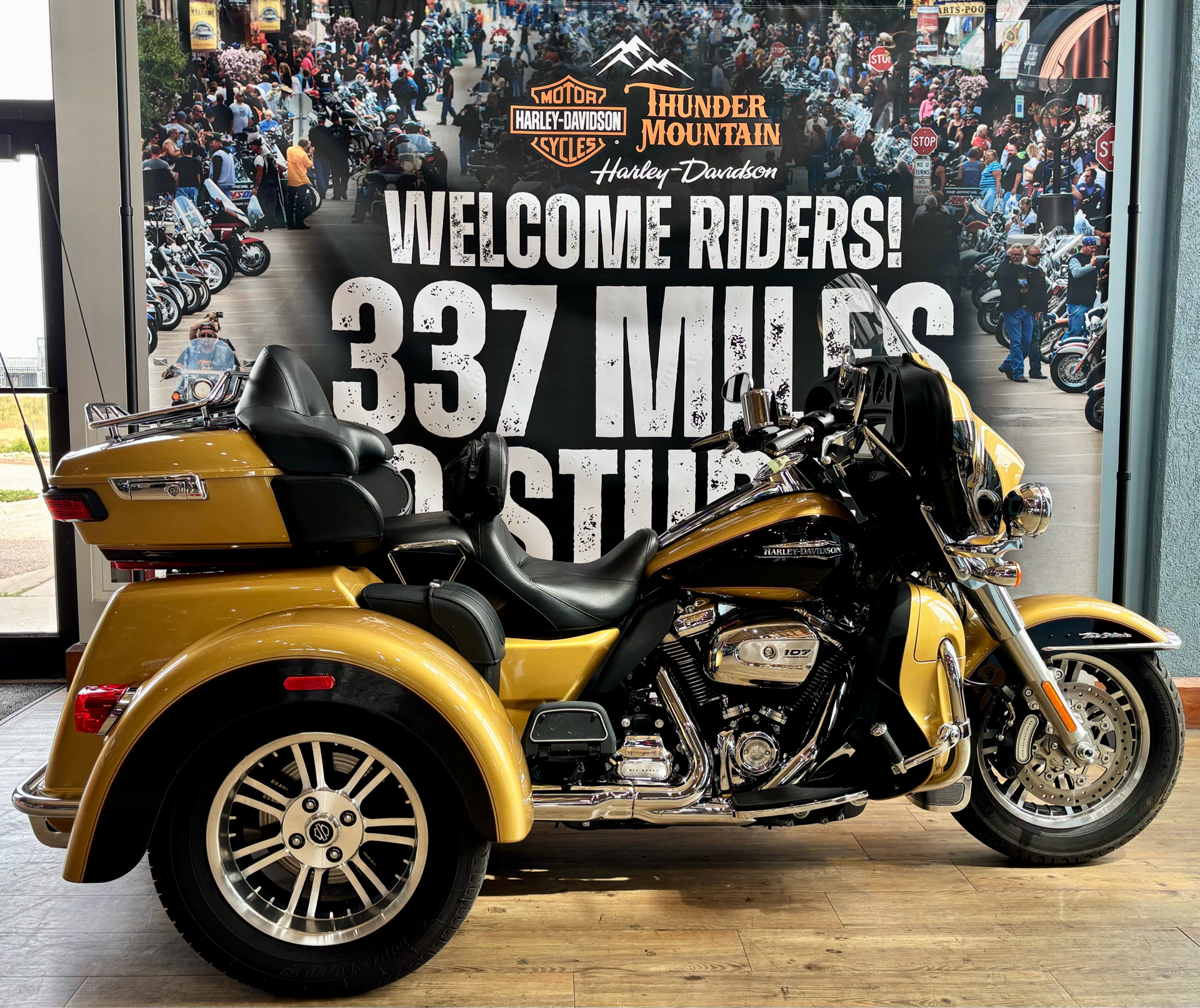 2017 Harley-Davidson Tri Glide® Ultra in Loveland, Colorado - Photo 1