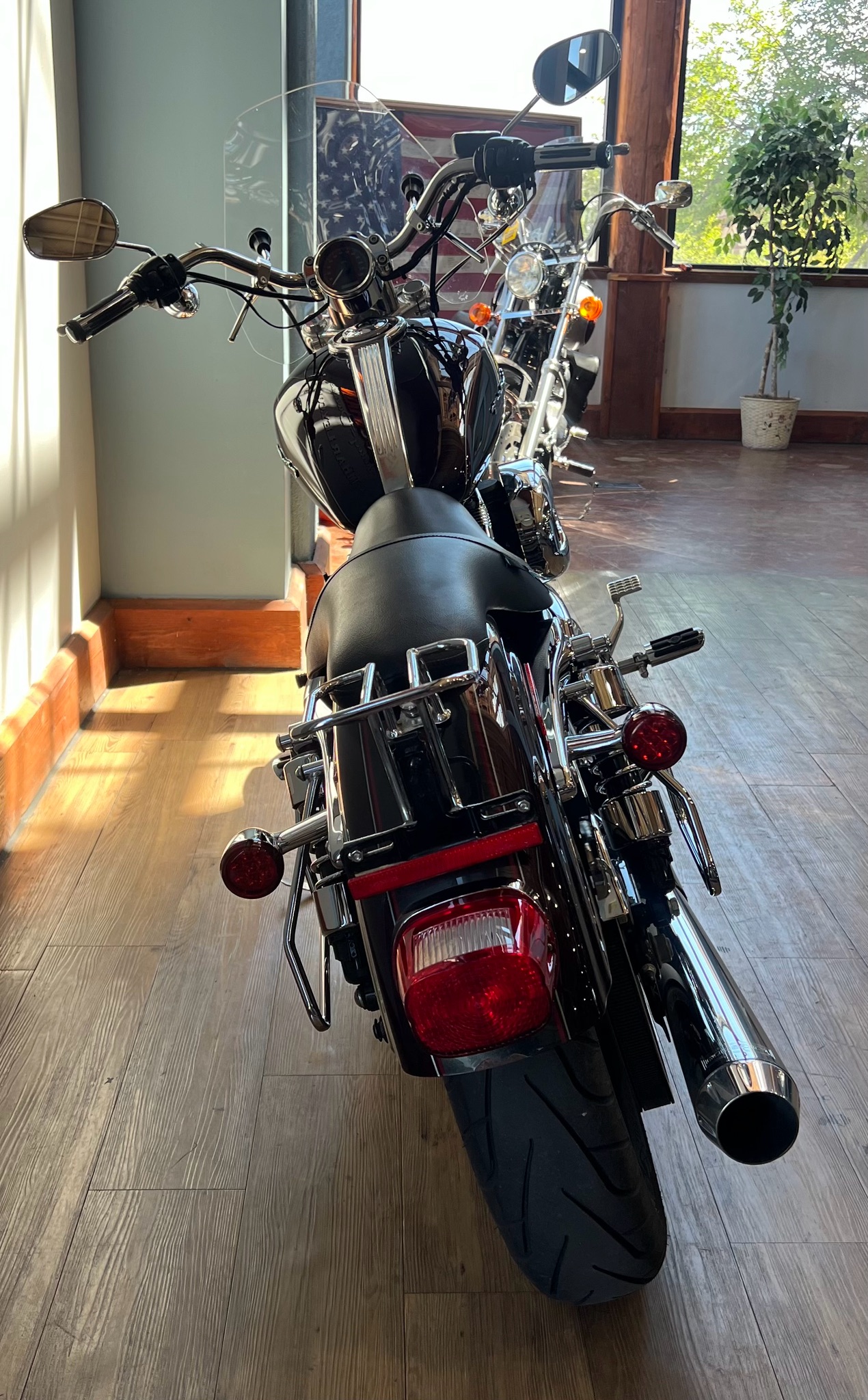 2006 Harley-Davidson Sportster® 1200 Custom in Loveland, Colorado - Photo 6