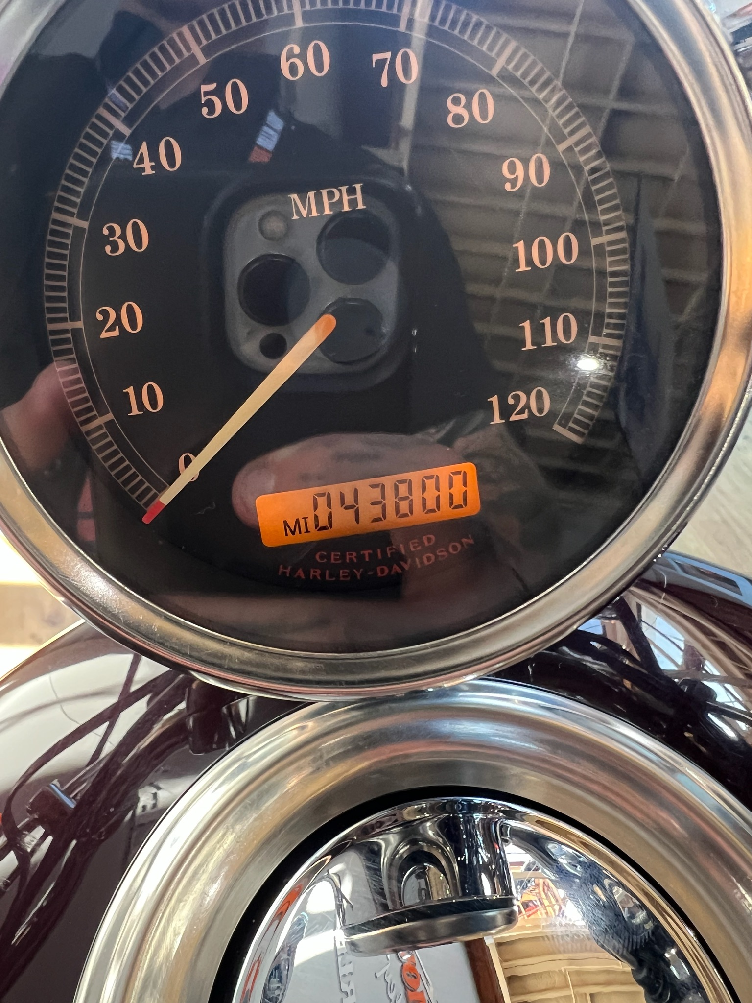 2006 Harley-Davidson Sportster® 1200 Custom in Loveland, Colorado - Photo 7
