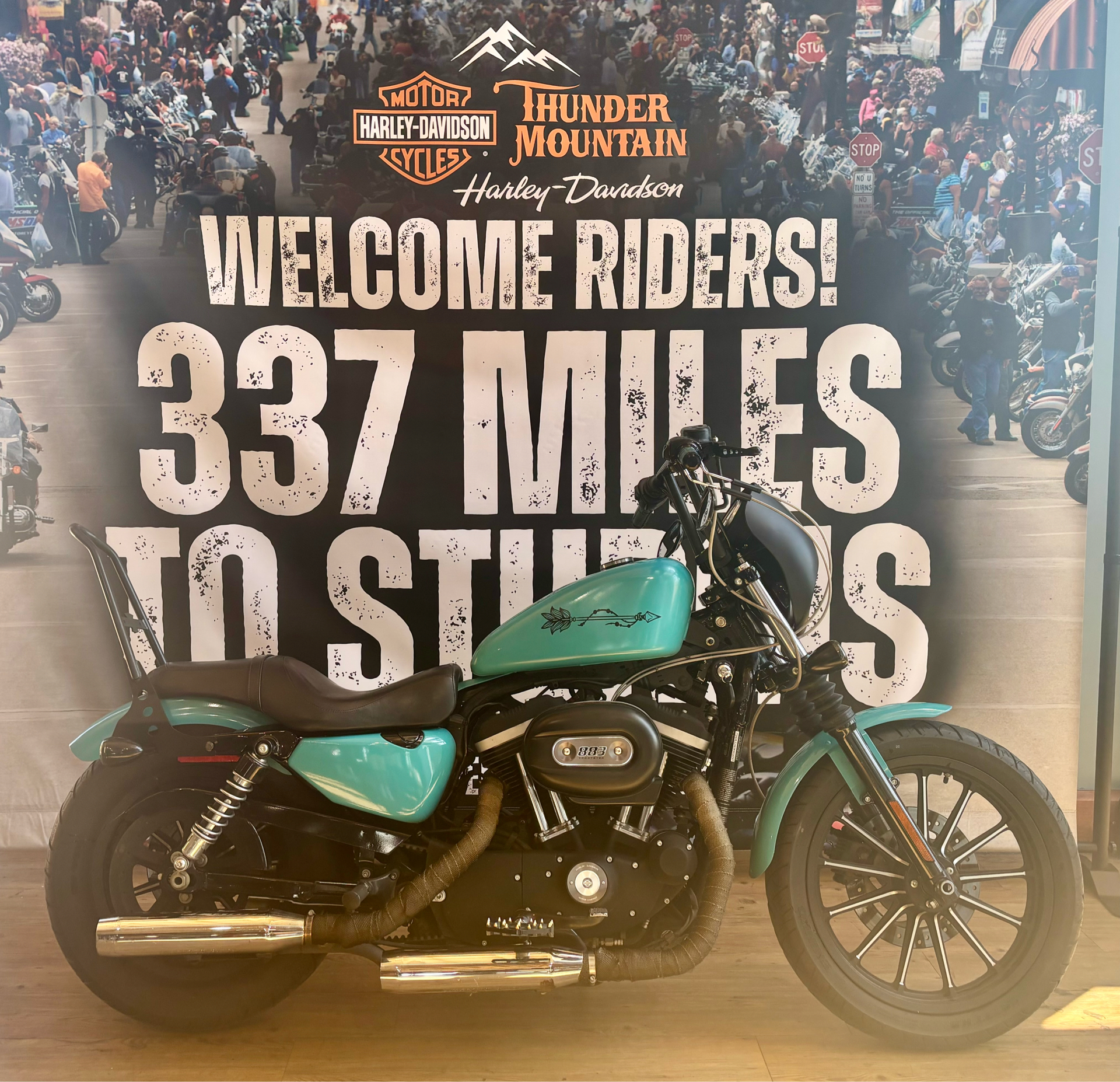 2009 Harley-Davidson Sportster® Iron 883™ in Loveland, Colorado - Photo 1