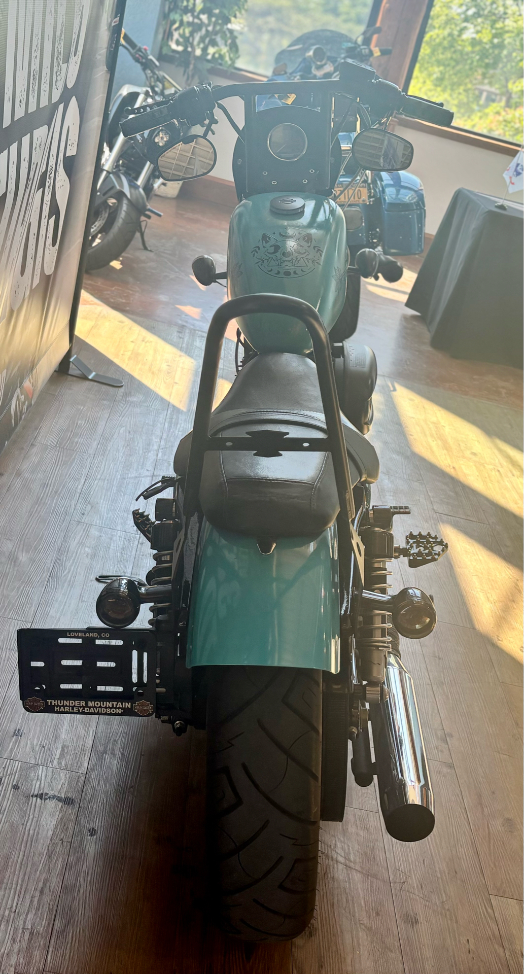 2009 Harley-Davidson Sportster® Iron 883™ in Loveland, Colorado - Photo 5