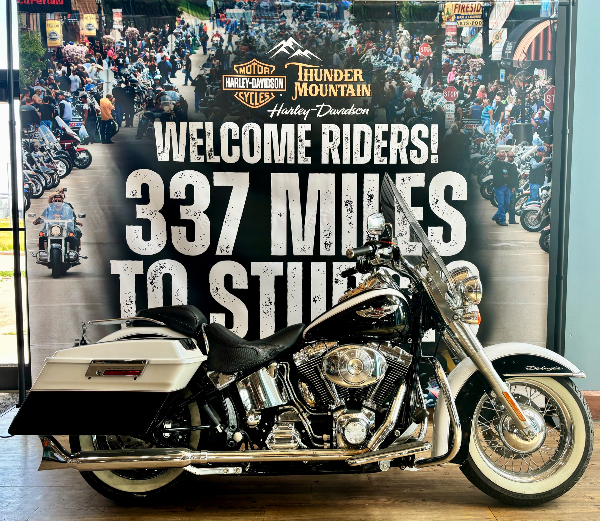 2006 Harley-Davidson Softail® Deluxe in Loveland, Colorado - Photo 1