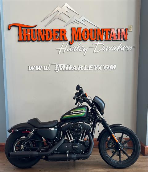 2021 Harley-Davidson Iron 1200™ in Loveland, Colorado