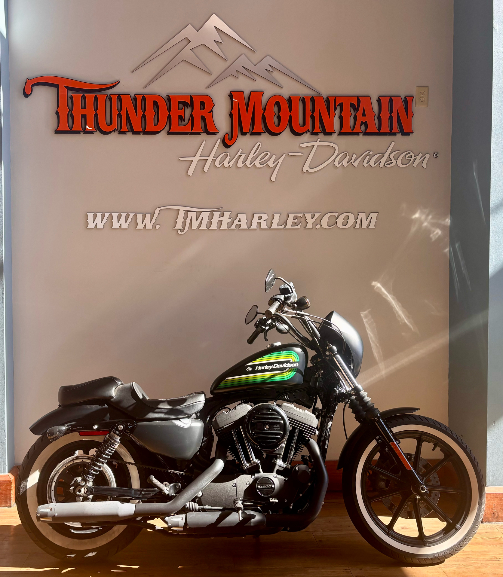 2021 Harley-Davidson Iron 1200™ in Loveland, Colorado - Photo 1
