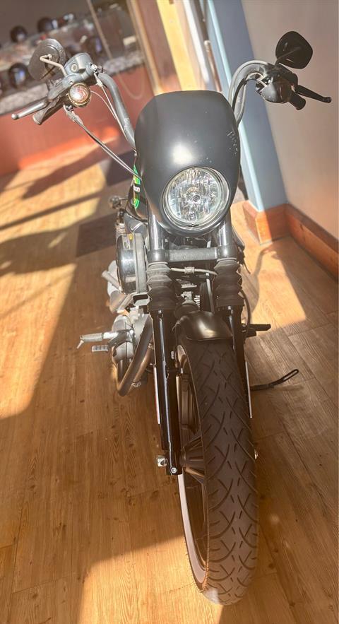 2021 Harley-Davidson Iron 1200™ in Loveland, Colorado - Photo 4