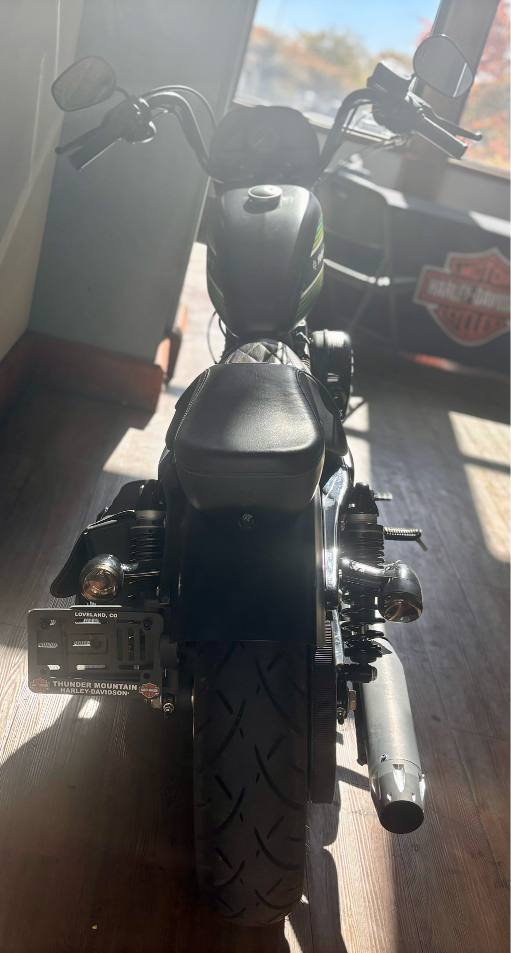 2021 Harley-Davidson Iron 1200™ in Loveland, Colorado - Photo 5