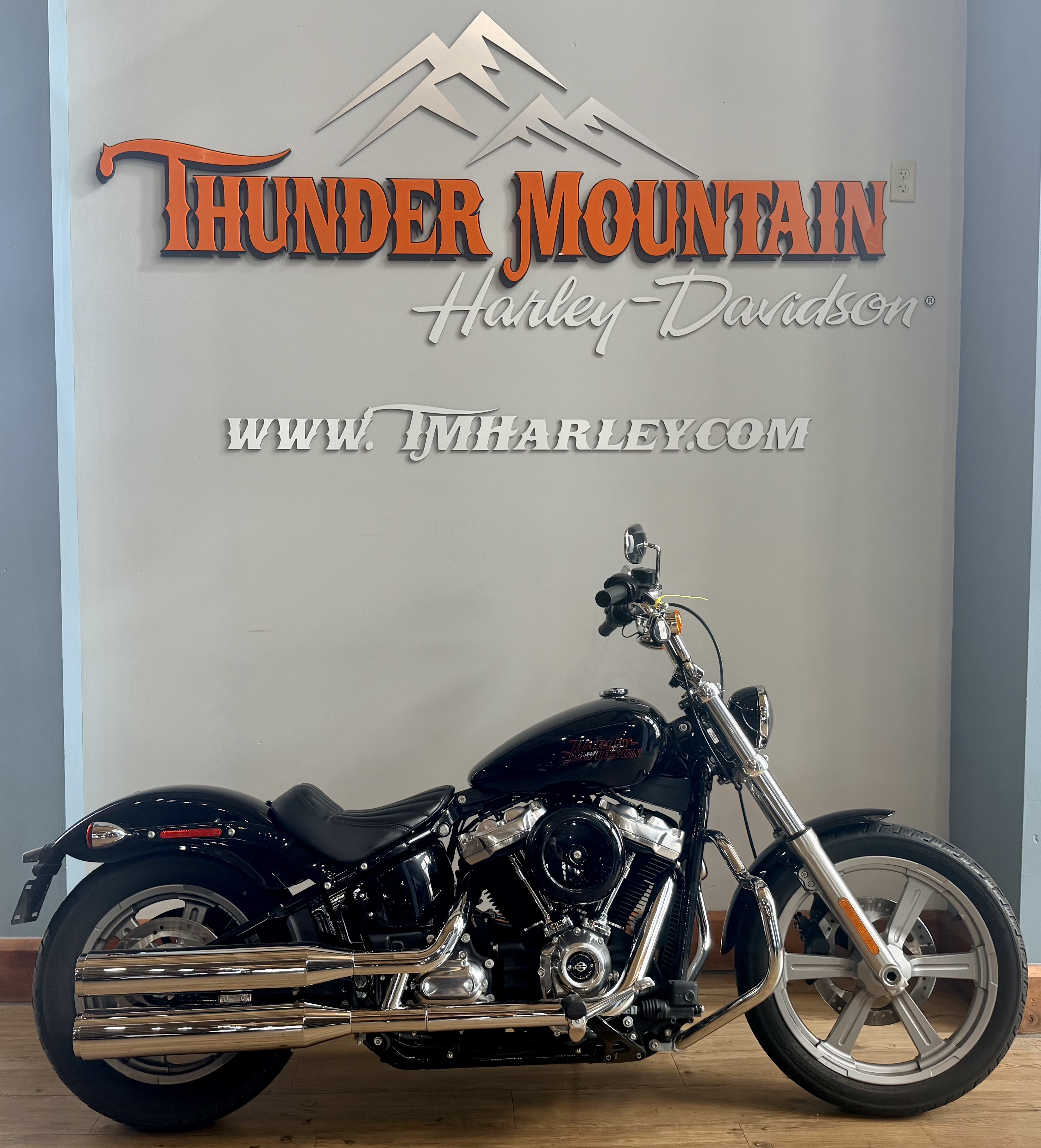 2023 Harley-Davidson Softail® Standard in Loveland, Colorado - Photo 1