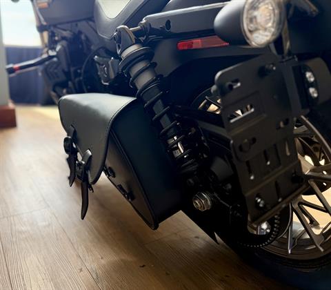 2025 Harley-Davidson Nightster® Special in Loveland, Colorado - Photo 11