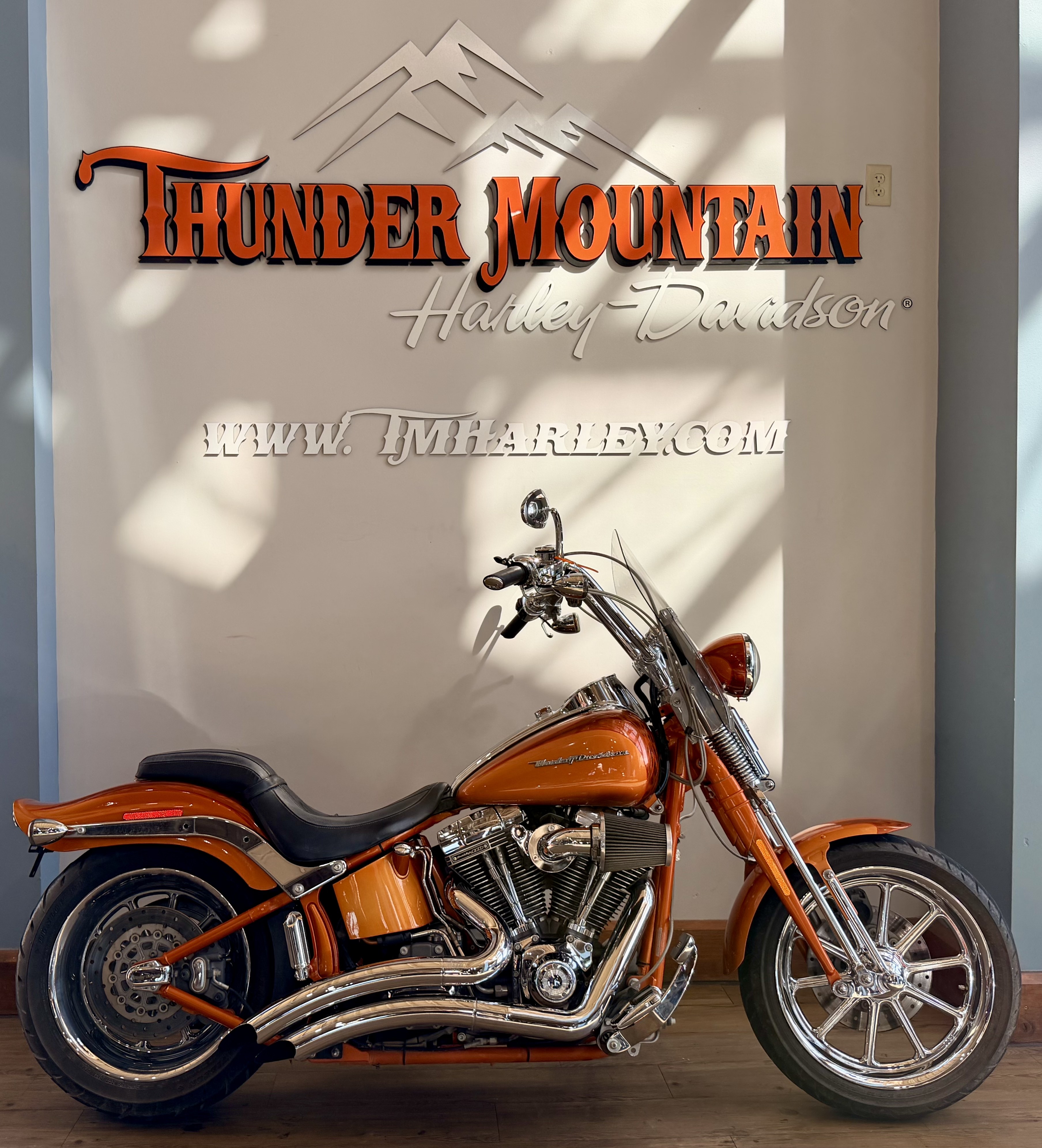 2008 Harley-Davidson CVO™ Screamin' Eagle® Softail® Springer® in Loveland, Colorado - Photo 1