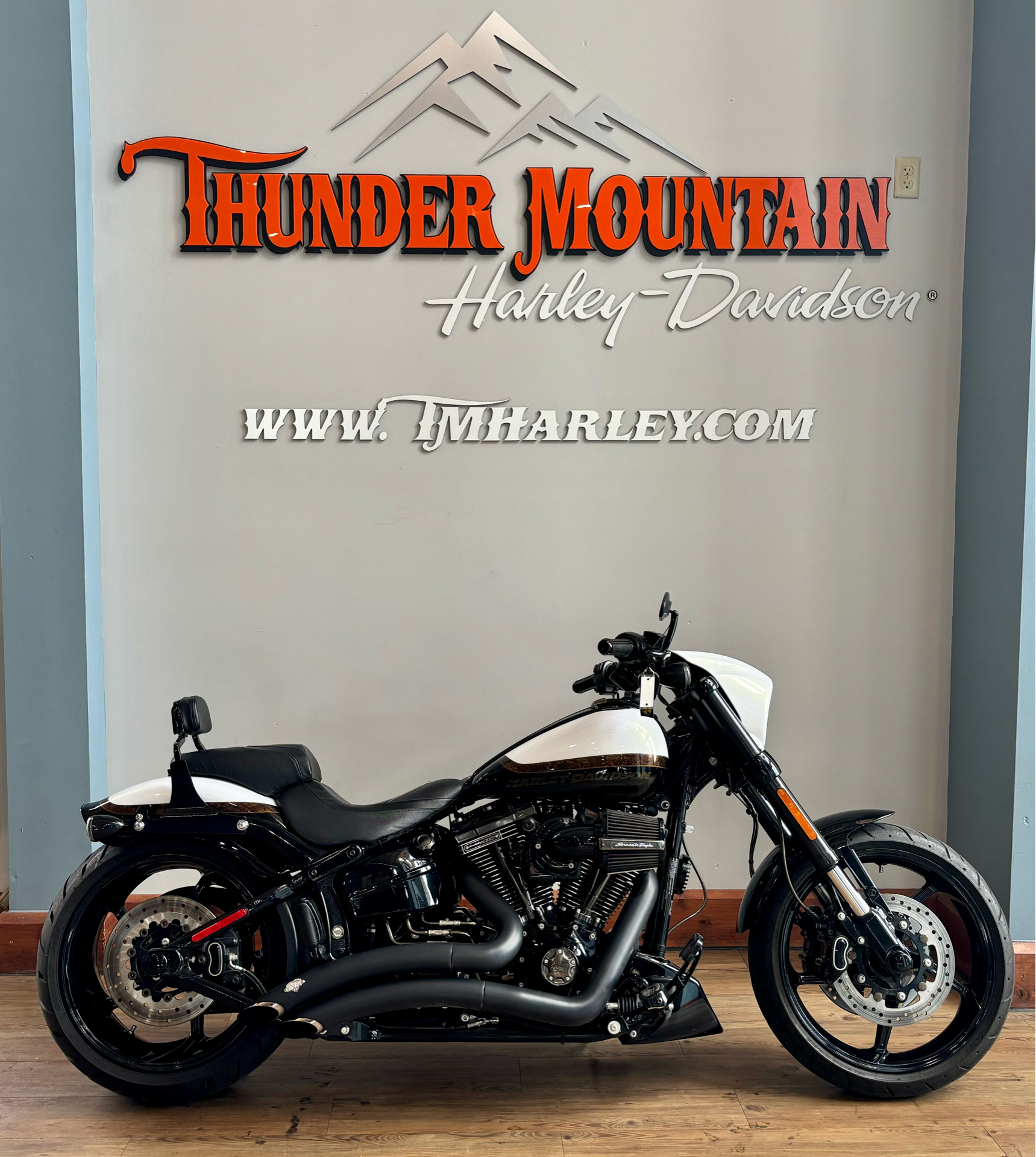2016 Harley-Davidson CVO™ Pro Street Breakout® in Loveland, Colorado - Photo 1