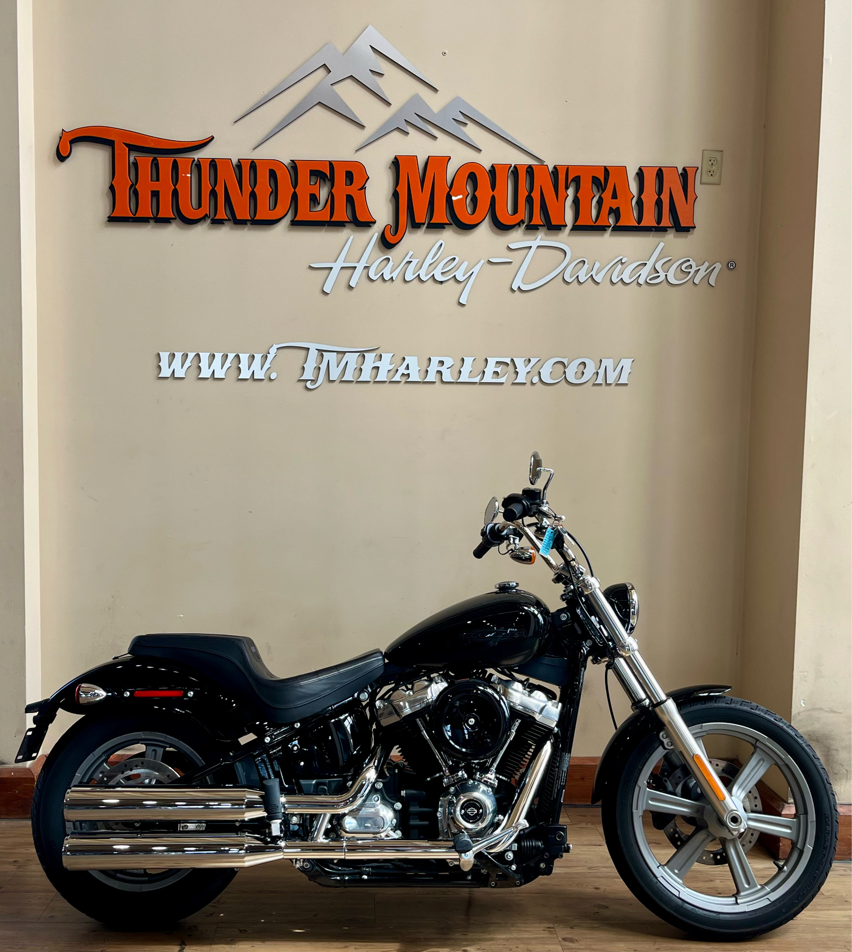 2022 Harley-Davidson Softail® Standard in Loveland, Colorado - Photo 1