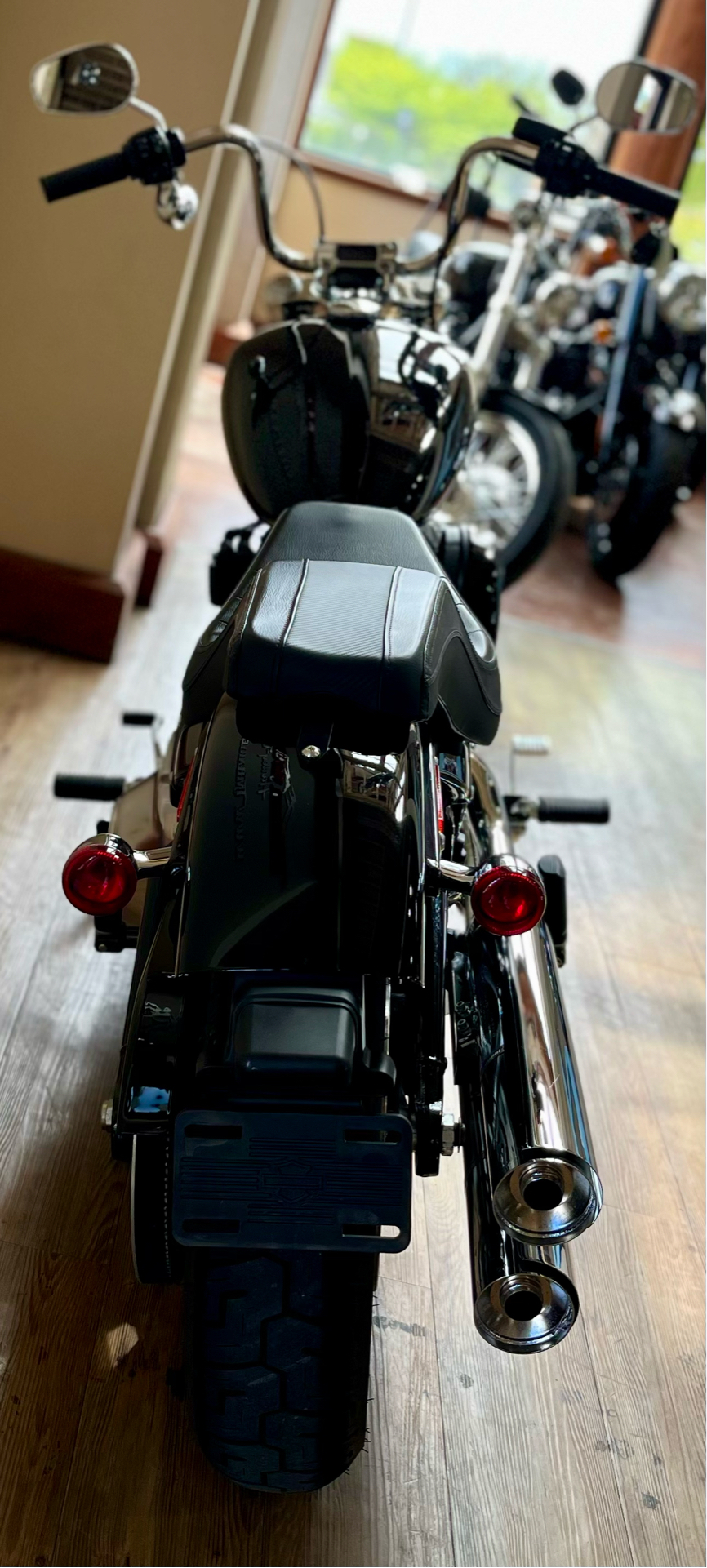 2022 Harley-Davidson Softail® Standard in Loveland, Colorado - Photo 5