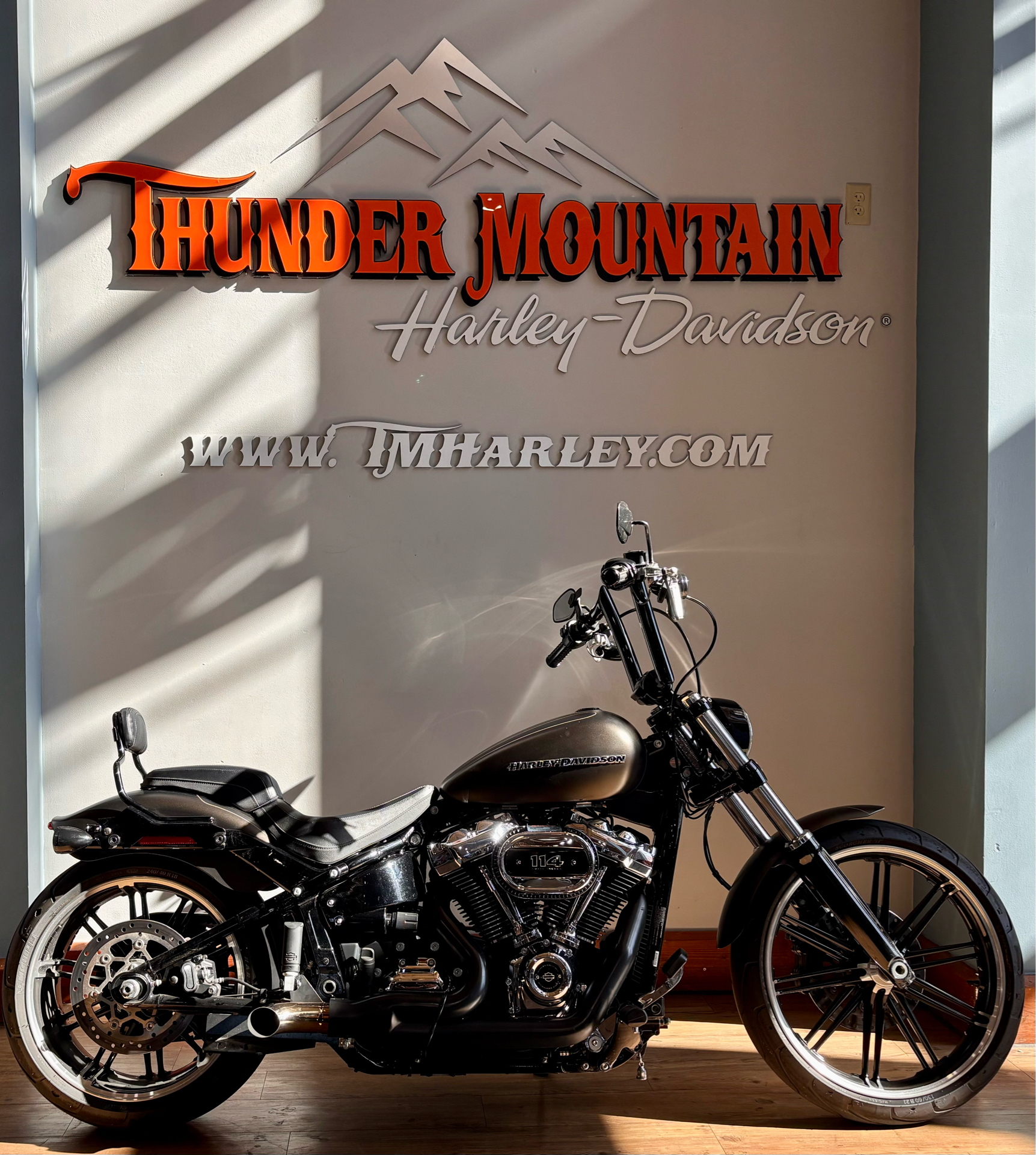 2020 Harley-Davidson Breakout® 114 in Loveland, Colorado - Photo 1