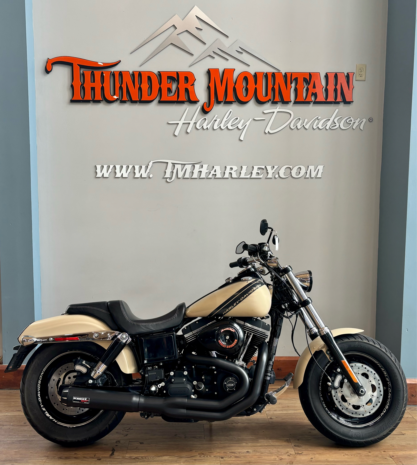 2014 Harley-Davidson Dyna® Fat Bob® in Loveland, Colorado - Photo 1