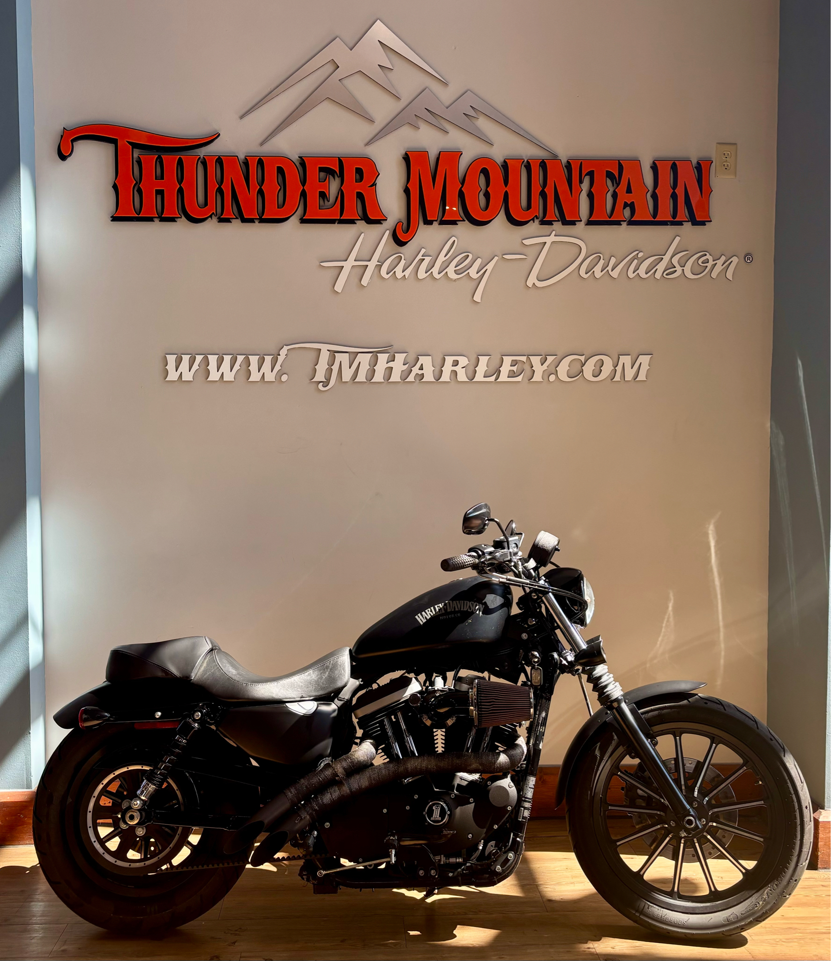2013 Harley-Davidson Sportster® Iron 883™ in Loveland, Colorado - Photo 1