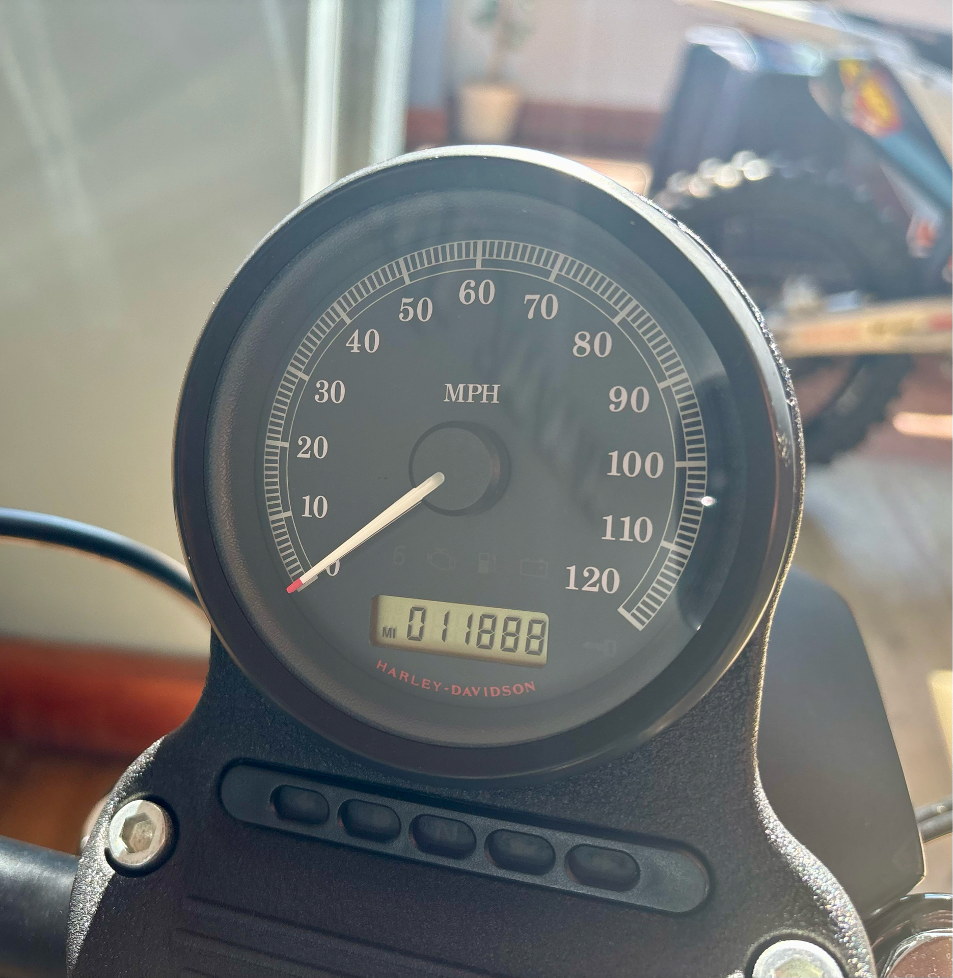 2013 Harley-Davidson Sportster® Iron 883™ in Loveland, Colorado - Photo 11