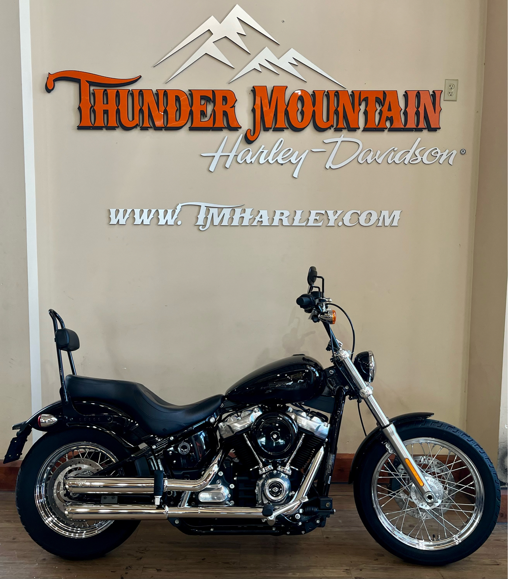 2021 Harley-Davidson Softail® Standard in Loveland, Colorado - Photo 1