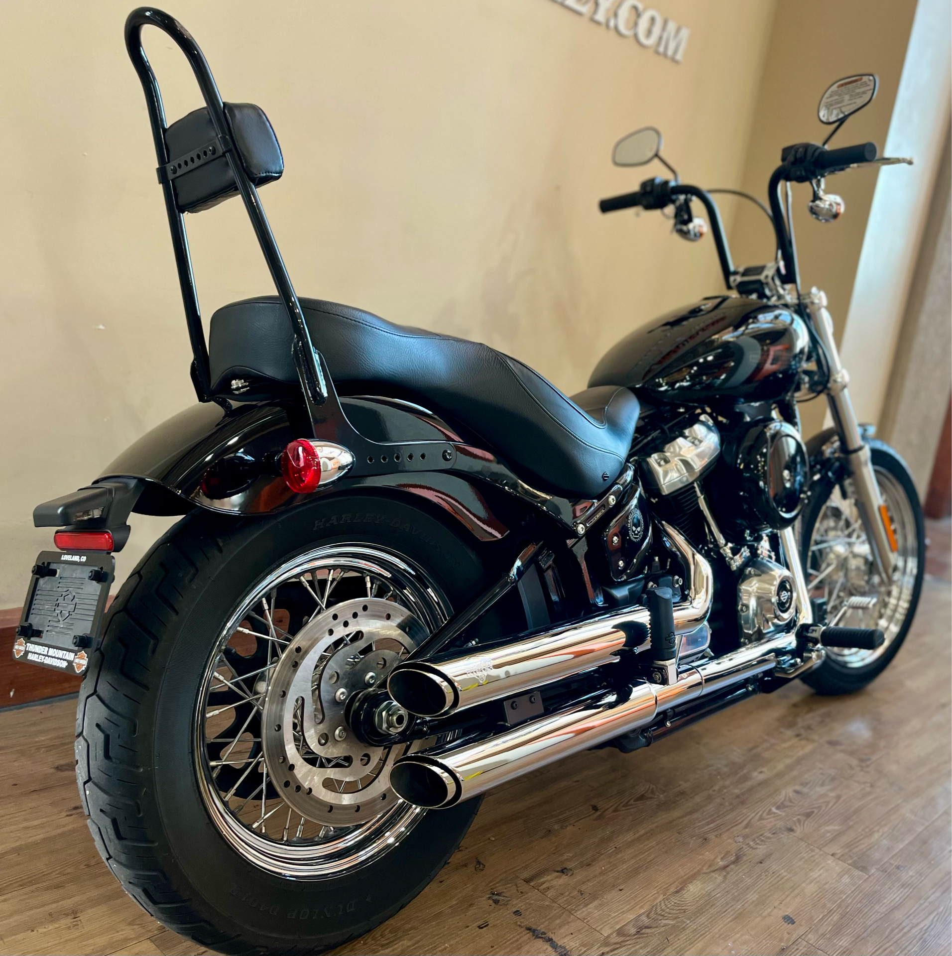 2021 Harley-Davidson Softail® Standard in Loveland, Colorado - Photo 3
