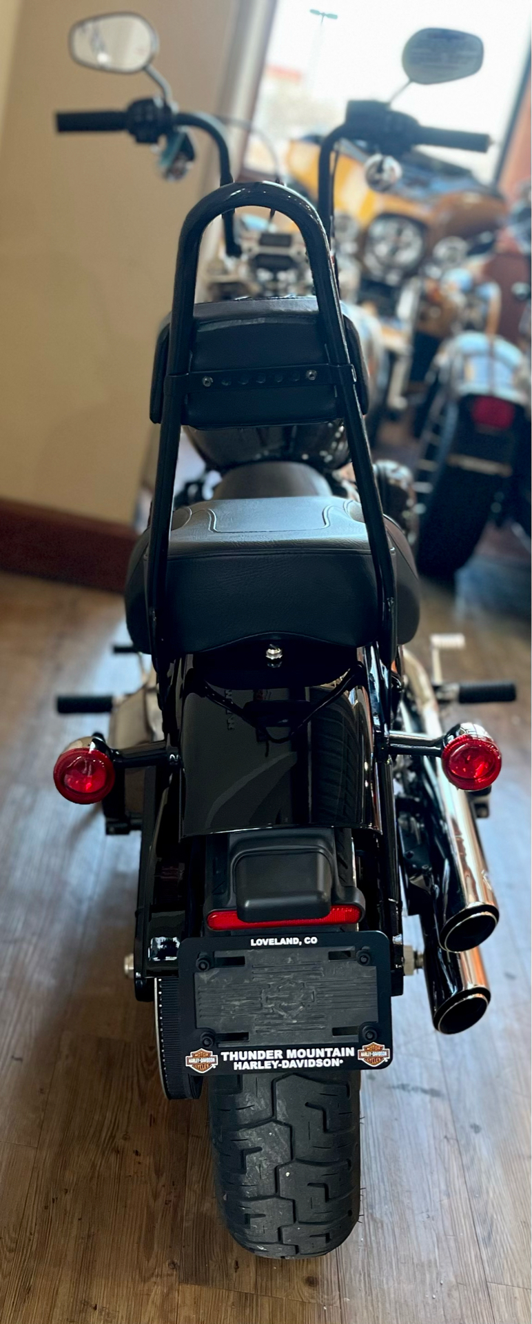 2021 Harley-Davidson Softail® Standard in Loveland, Colorado - Photo 5