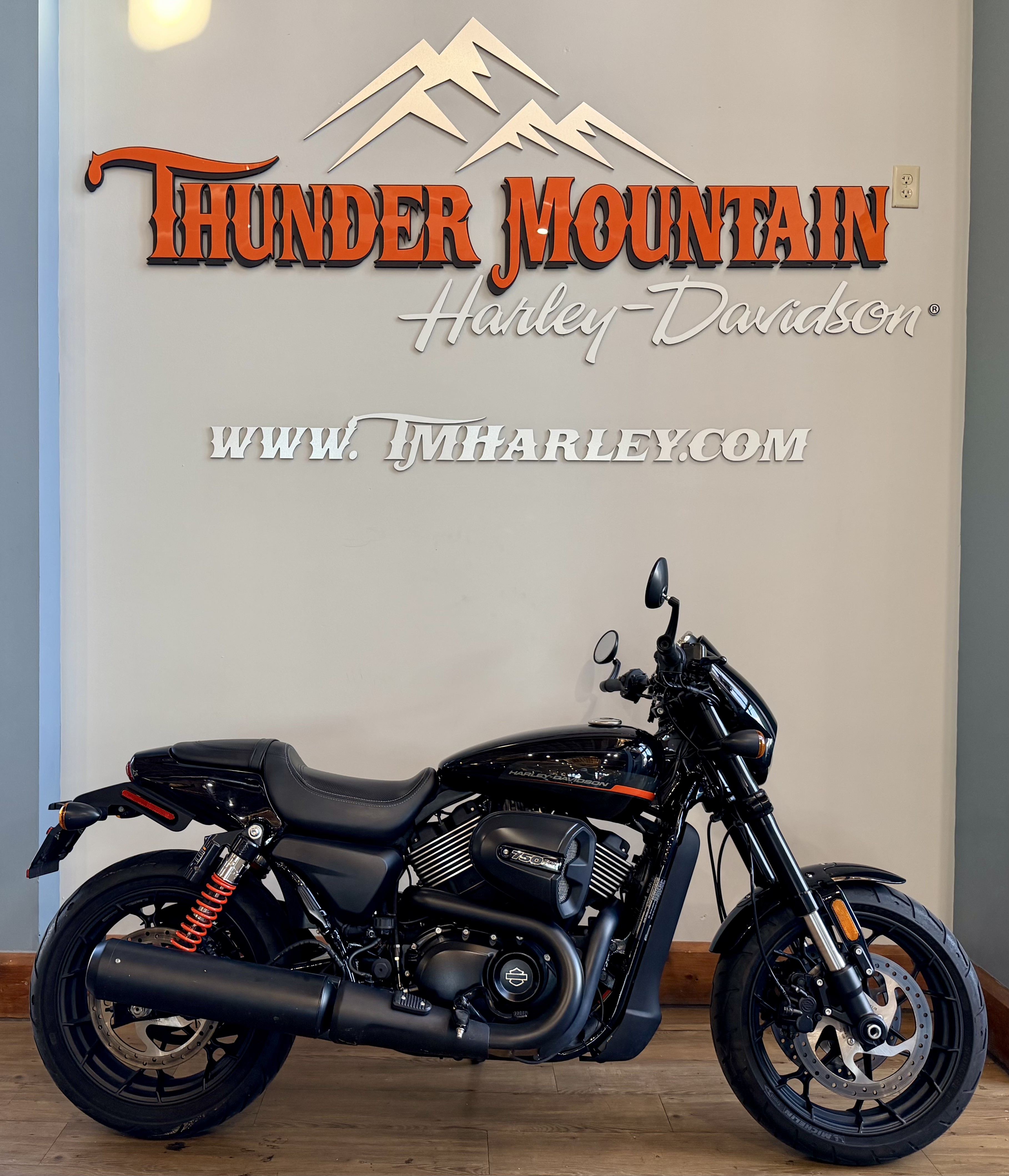 Used 2019 Harley-Davidson Street Rod® Vivid Black | Motorcycles in