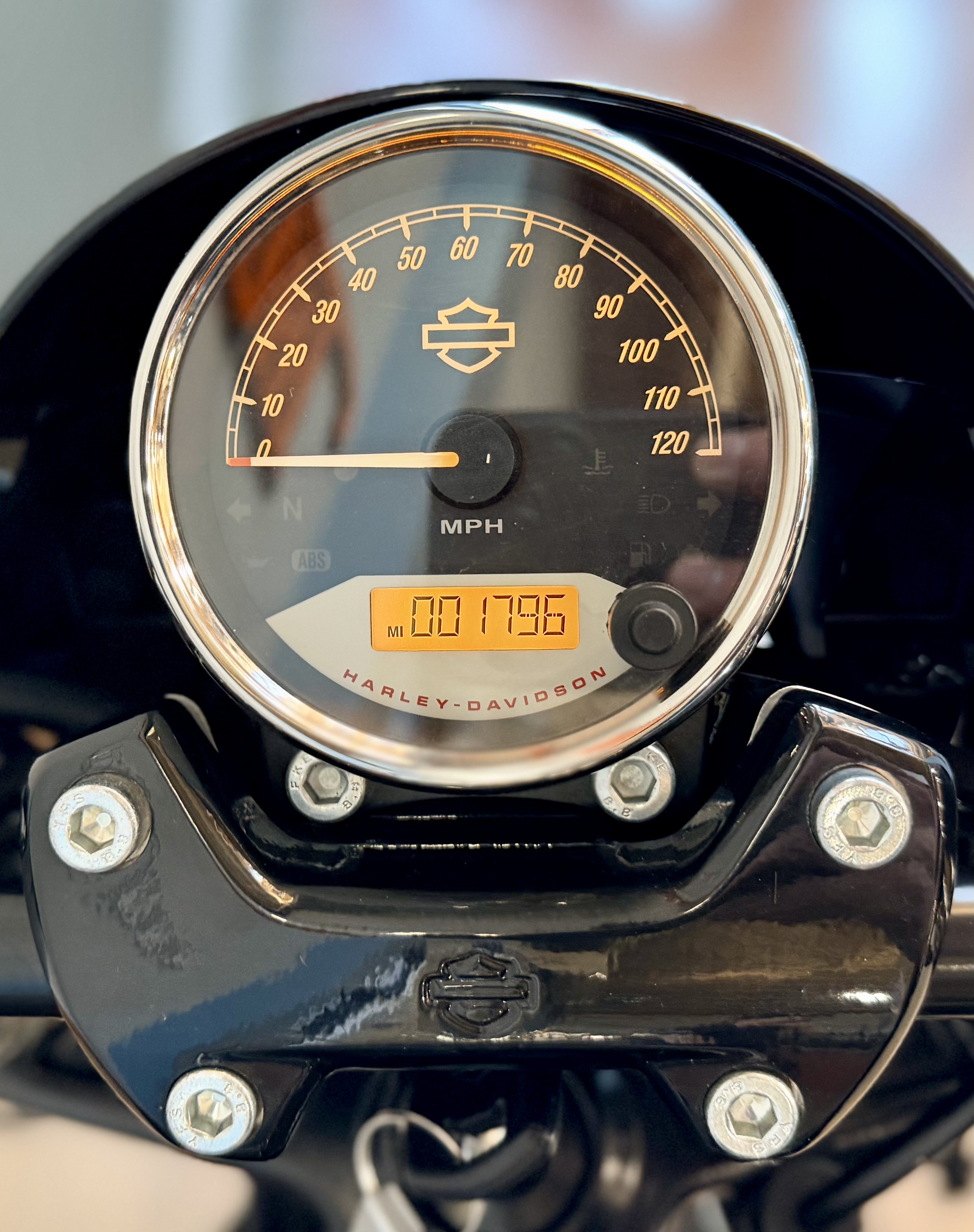 2019 Harley-Davidson Street Rod® in Loveland, Colorado - Photo 10