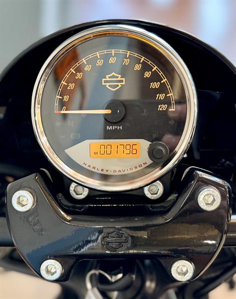 2019 Harley-Davidson Street Rod® in Loveland, Colorado - Photo 10