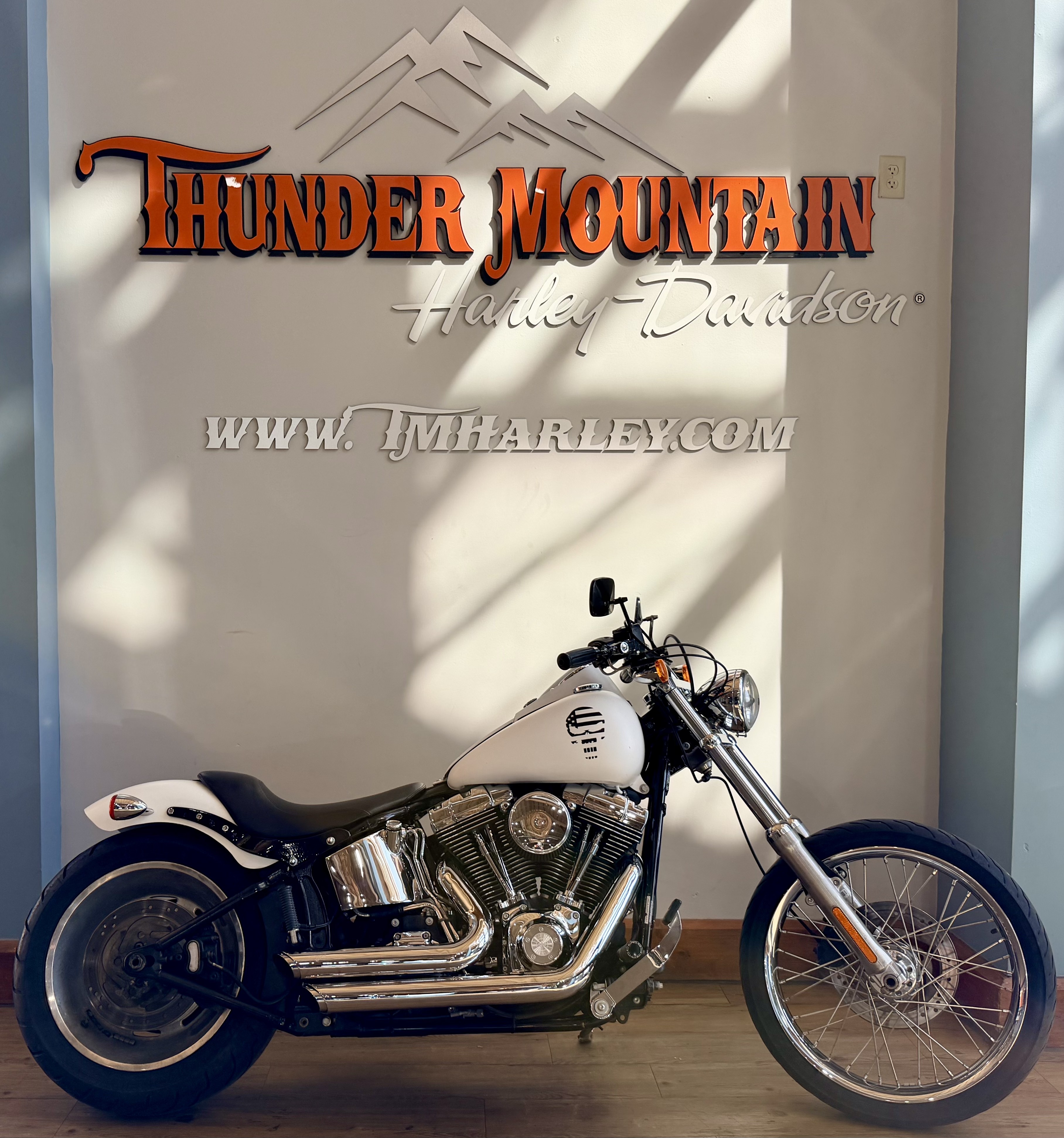 2009 Harley-Davidson Softail Custom in Loveland, Colorado - Photo 1