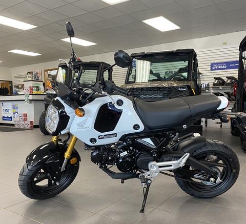 2024 Honda Grom, Minnesota, Wisconsin, & Upper Michigan | New
