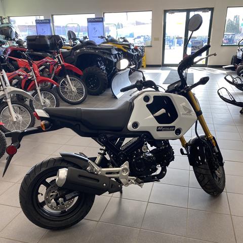2024 Honda Grom, Minnesota, Wisconsin, & Upper Michigan | New 2024 Honda Grom, Minnesota, Wisconsin, & Upper Michigan | New