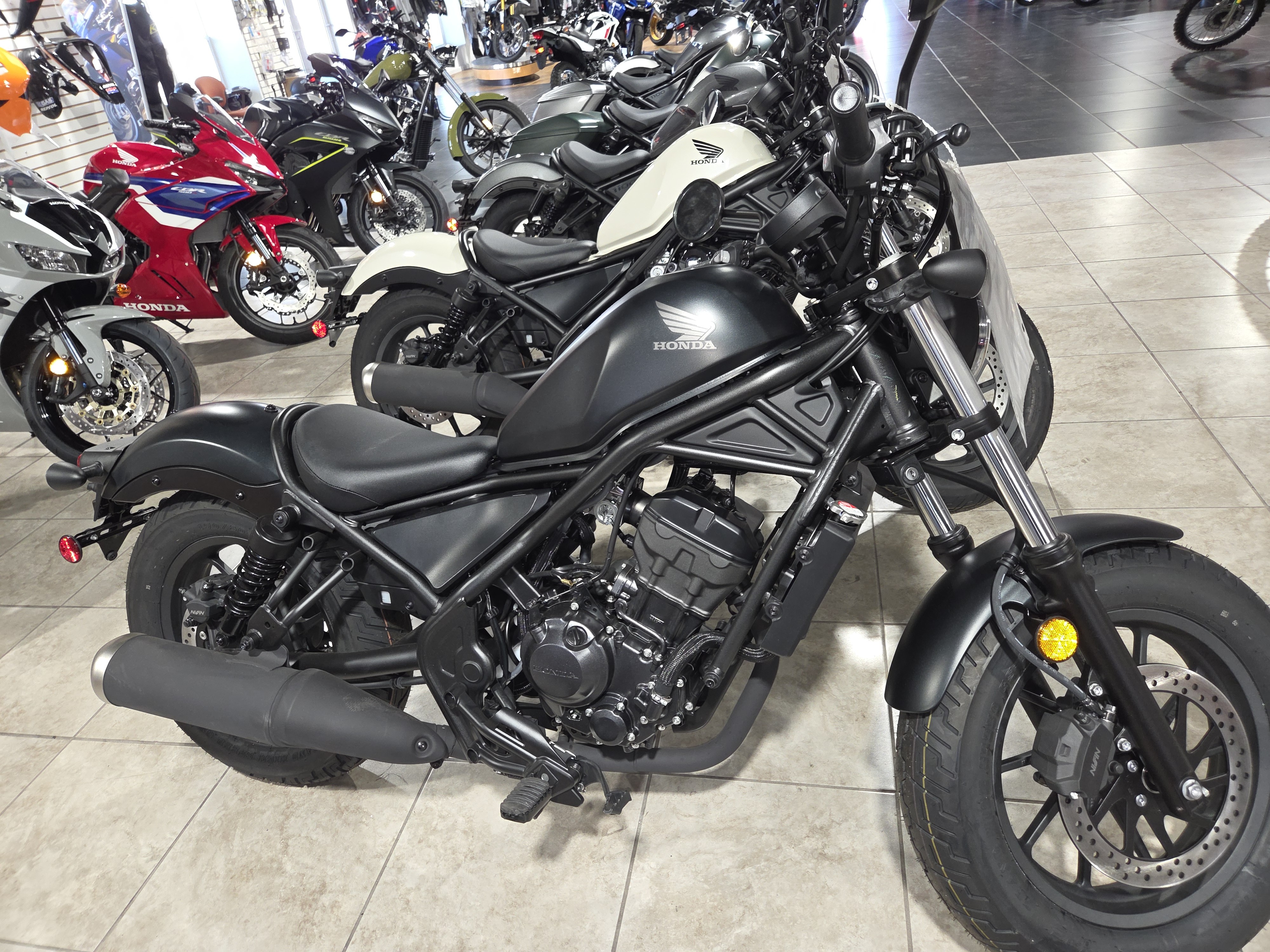 2025 Honda Rebel 300 for sale 800415