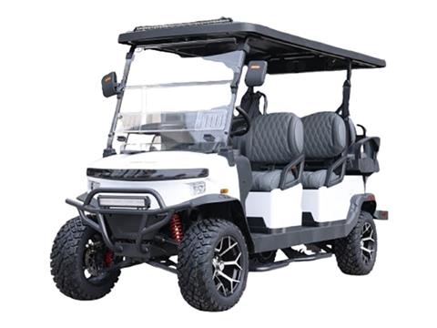 2026 Denago EV Rover XL 6 | Golf Carts for Sale, Tuscola IL | New