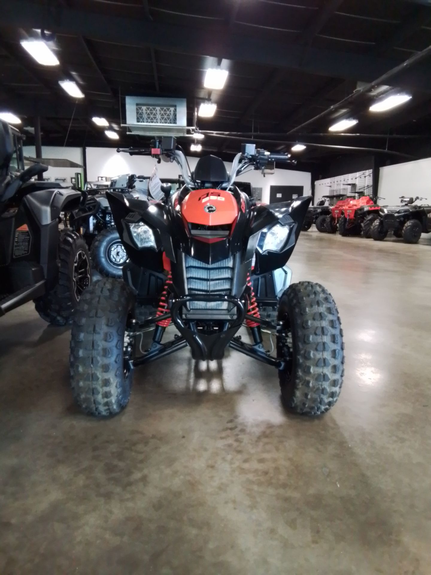2026 Can-Am DS 250 in Greenville, Texas - Photo 1