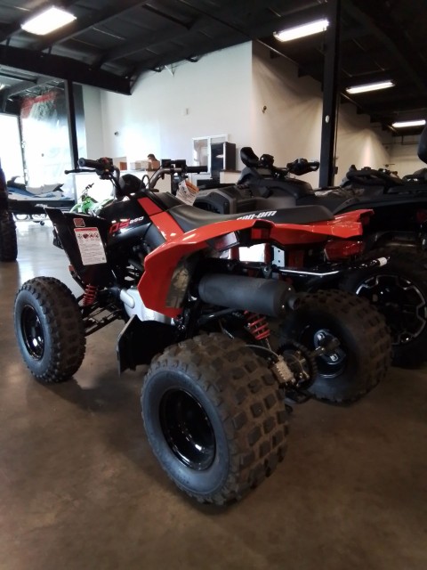 2026 Can-Am DS 250 in Greenville, Texas - Photo 4