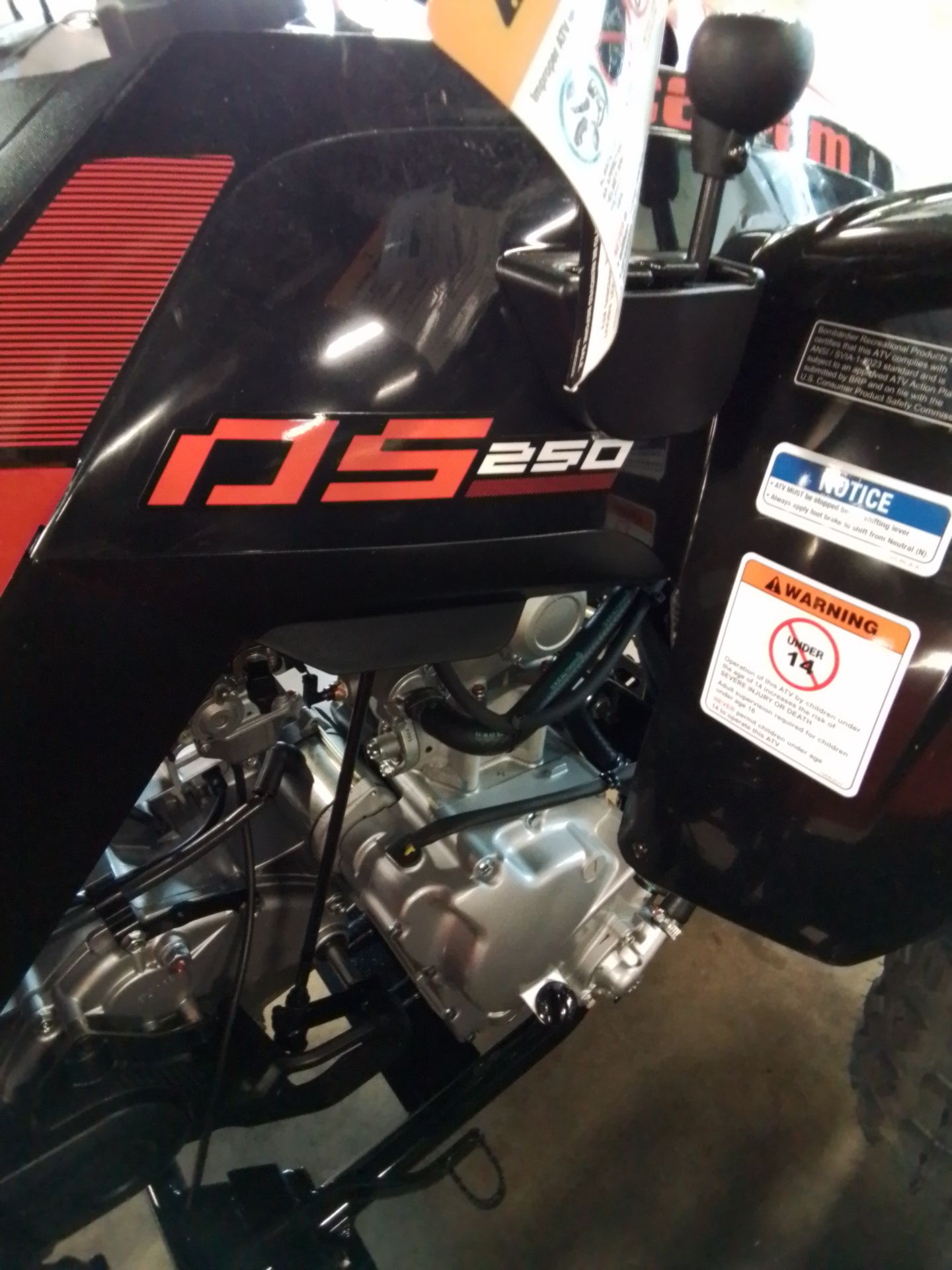 2026 Can-Am DS 250 in Greenville, Texas - Photo 6