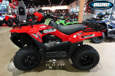 2026 Kawasaki Brute Force 300 — photo 1 of 9