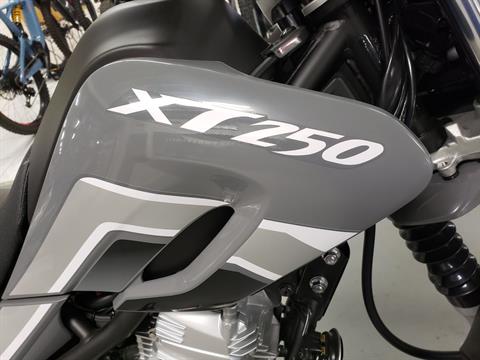 New 2025 Yamaha XT250, Johnson Creek WI | Specs, Price, Photos