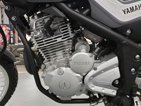 New 2025 Yamaha XT250, Johnson Creek WI | Specs, Price, Photos