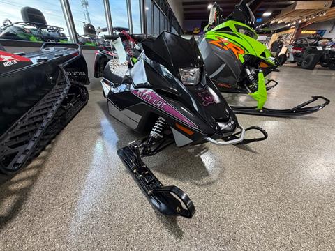New 2026 Arctic Cat Kitty Cat, Roscoe IL | Specs, Price