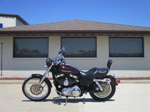 Used 2007 Harley-Davidson XL 1200C Sportster® Motorcycles in