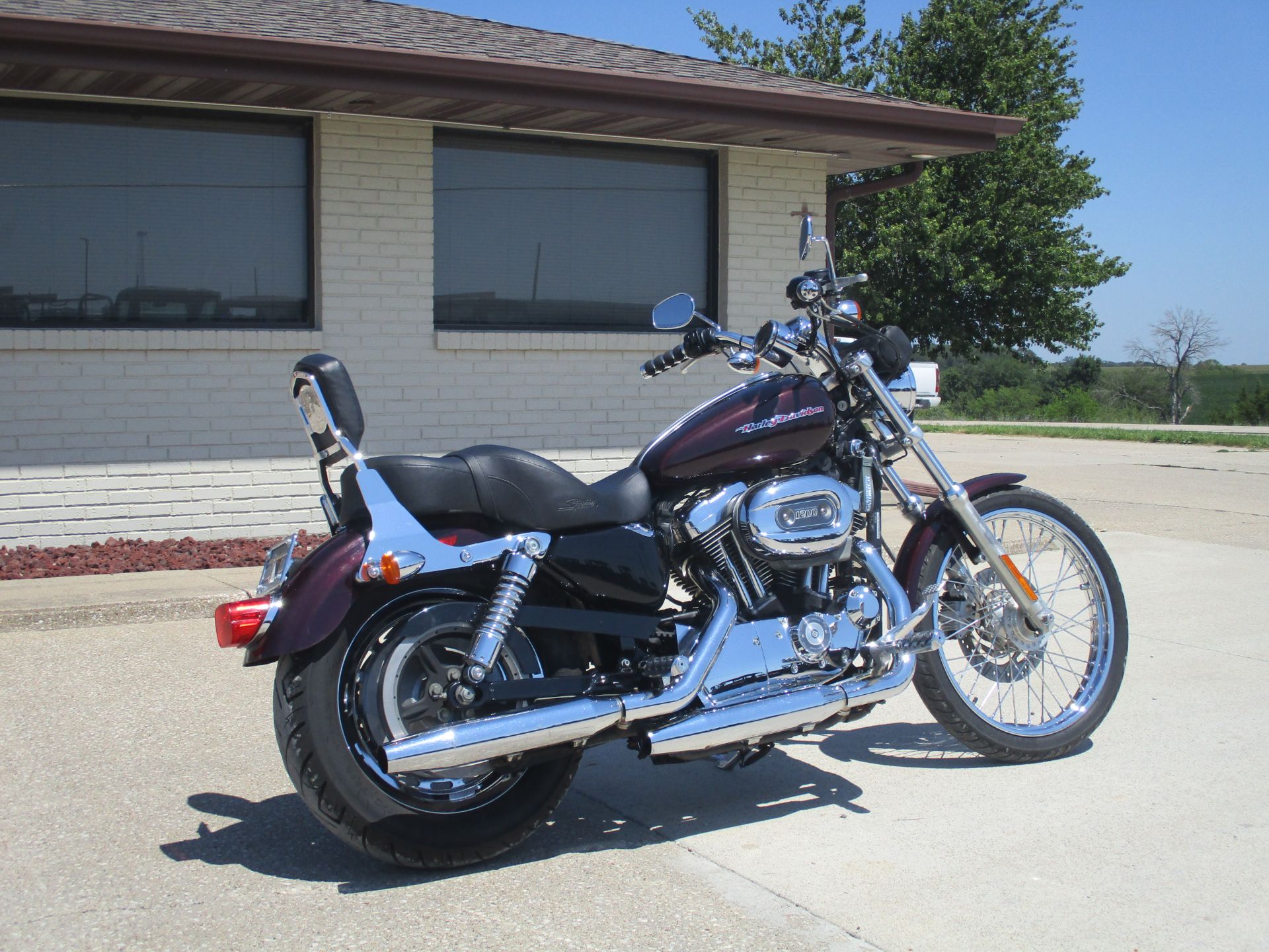 Used 2007 Harley-Davidson XL 1200C Sportster® Motorcycles in