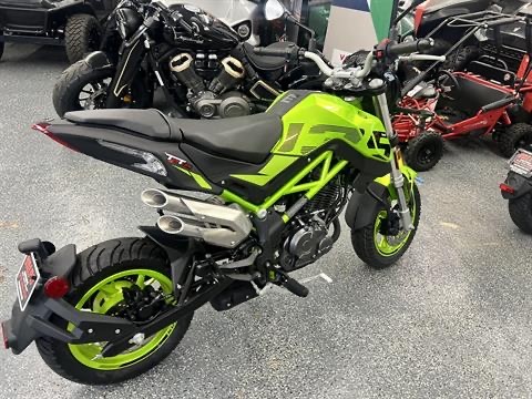 2024 Benelli TNT 135