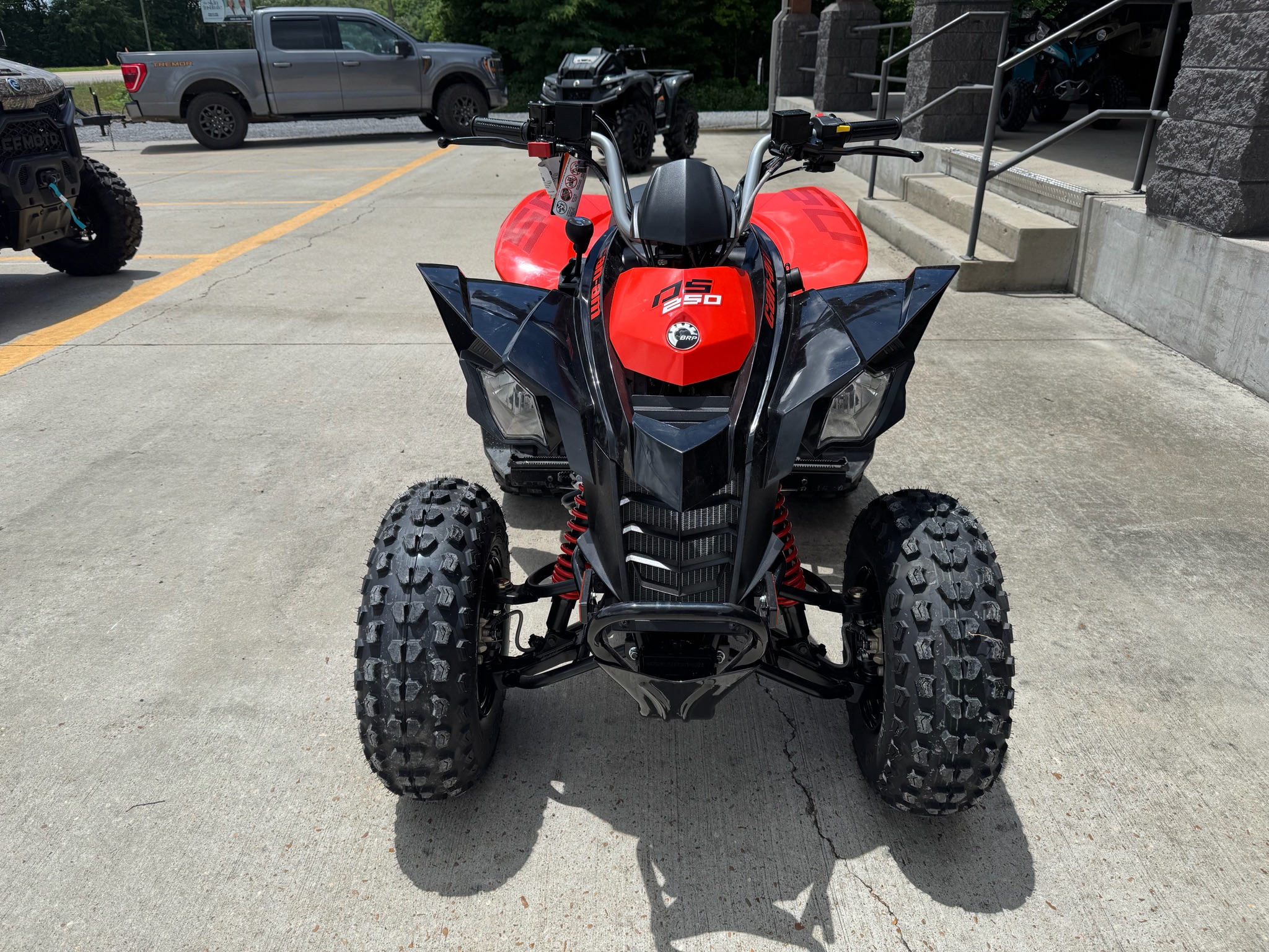 2026 Can-Am DS 250 for sale 1161714