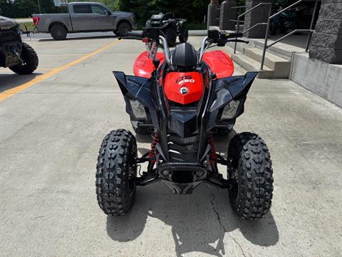 2026 Can-Am DS 250