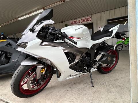 ＊＊パンダ＊＊ Texas Motor Sports | Powersports Dealer in Harker Heights TX