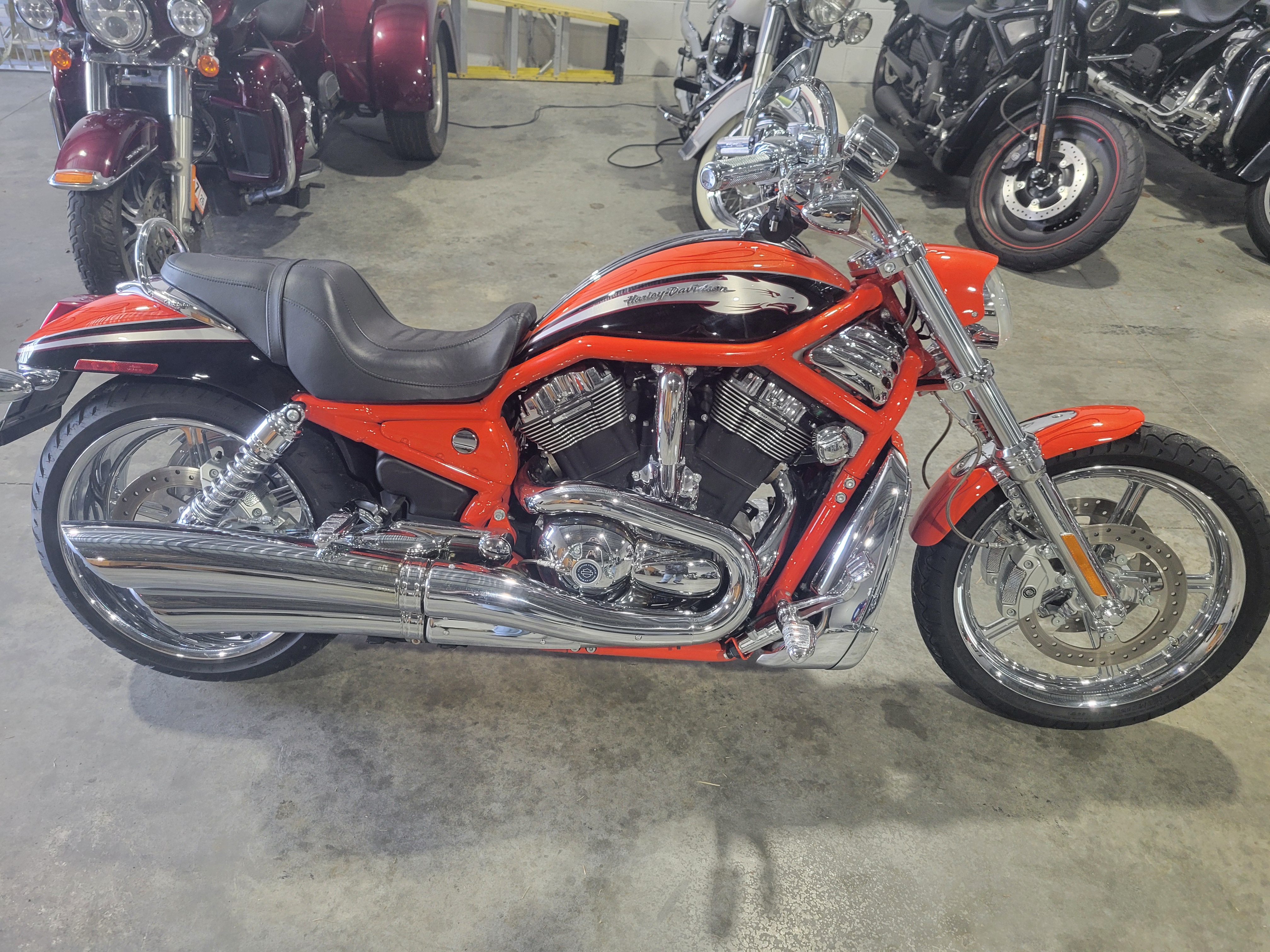Used 2006 Harley-Davidson CVO™ Screamin' Eagle® V-Rod® Two-Tone